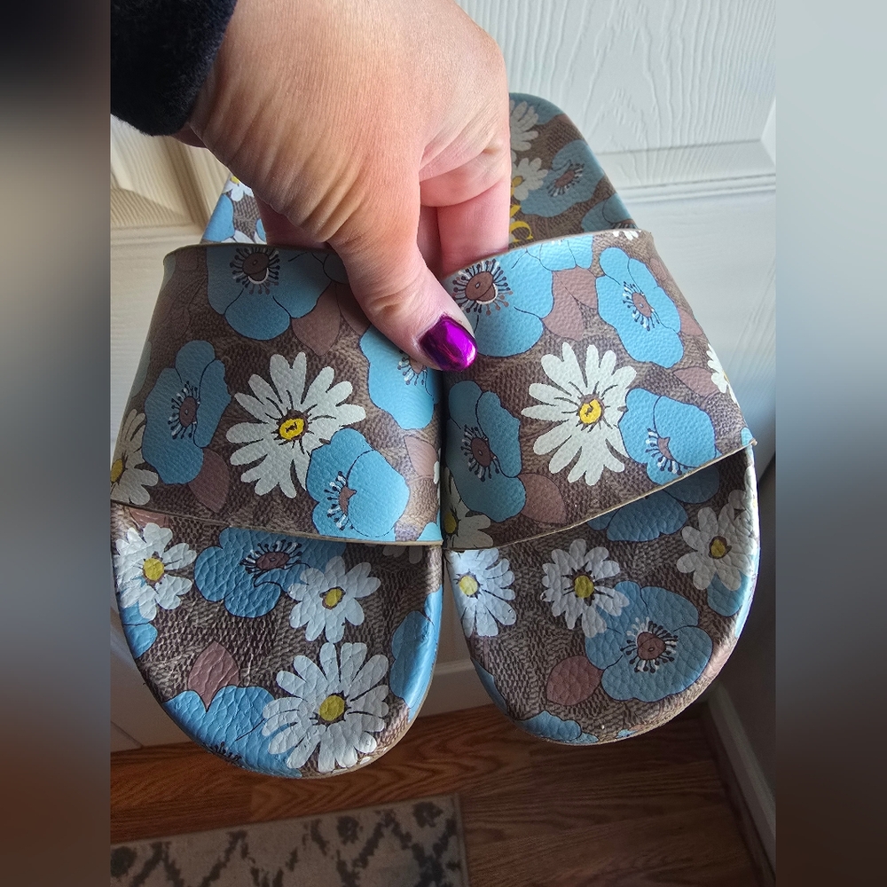 Coach slides